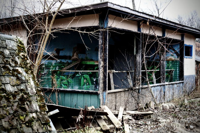 Deer Forest - January 2024 Photo From Dan Keeley (newer photo)